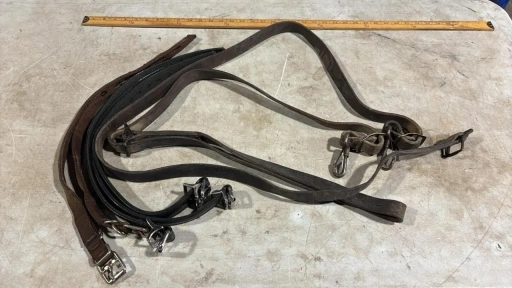 Asst. Horse Straps.