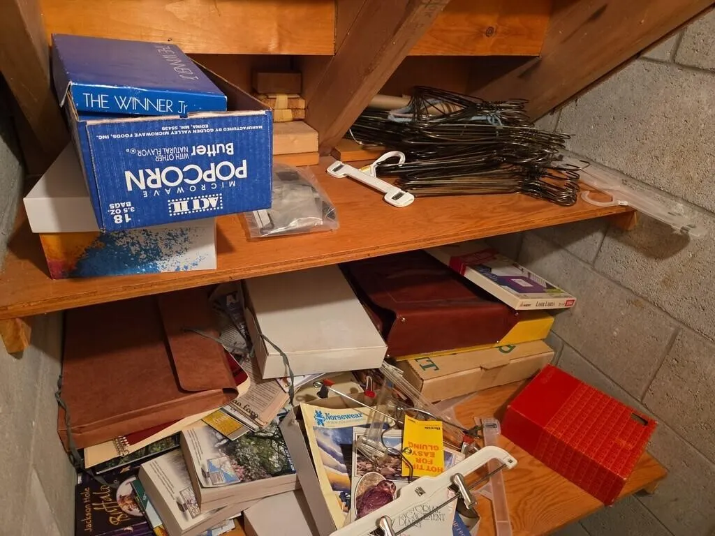 Closet Contents: Books, Hangers, Misc