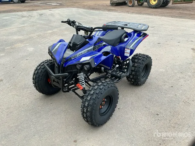 2021 4x2 ATV (Unused)