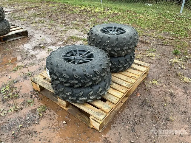 Quantity of (2) 25x8.00-12 Tires