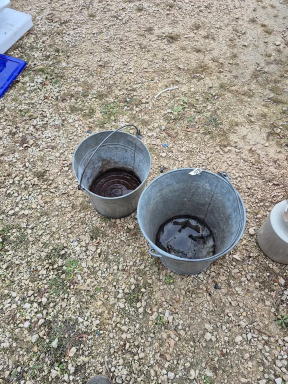 To vintage galvanize buckets.