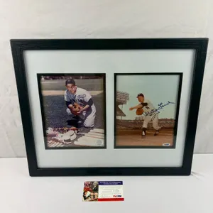 Baseball Autograph Display