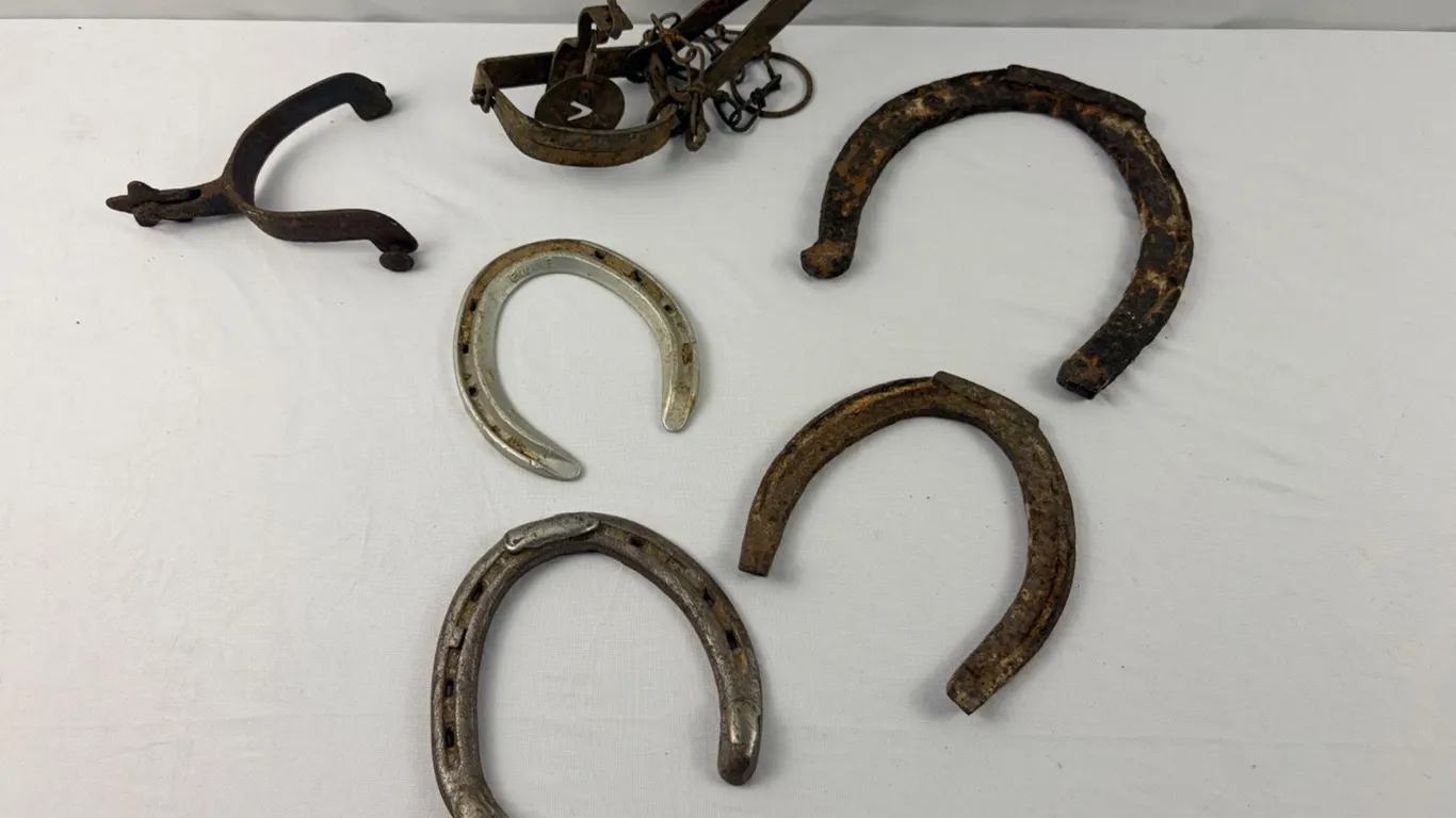 Horseshoes, Traps & Spurs