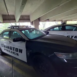 2014 Ford Taurus Sedan/Police Vehicle