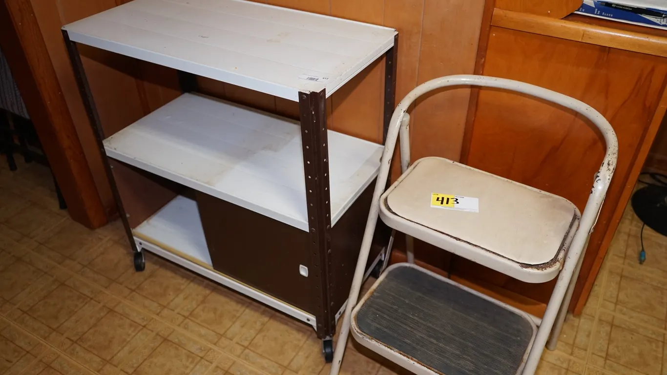 Rolling Metal Cabinet & Step / Seat