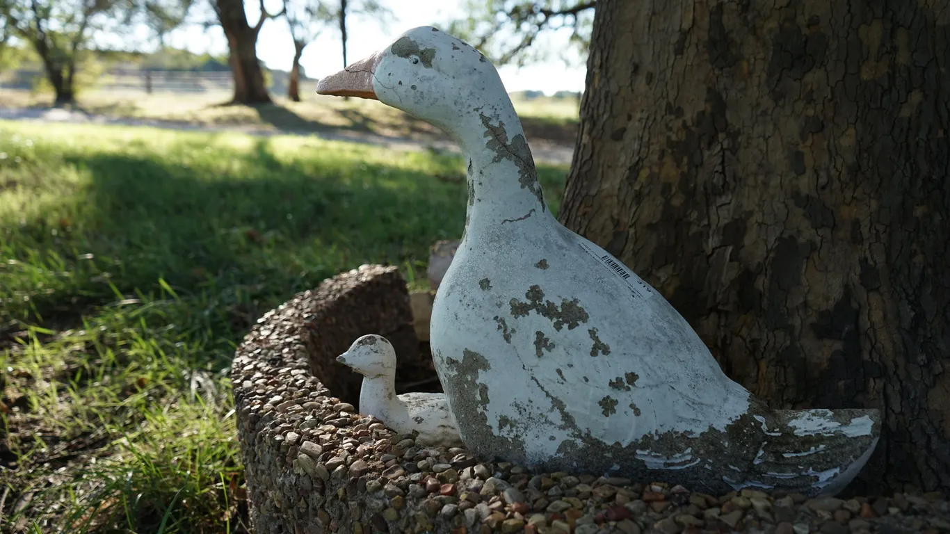 Cement Yard decoration Ducks