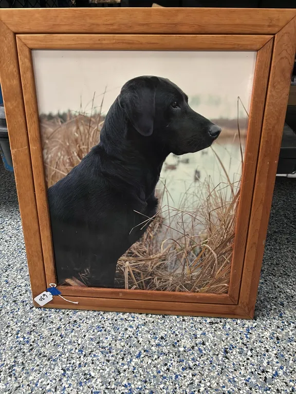 Framed Photo Black Lab