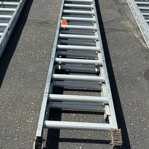 Werner 20' Aluminum Extension Ladder