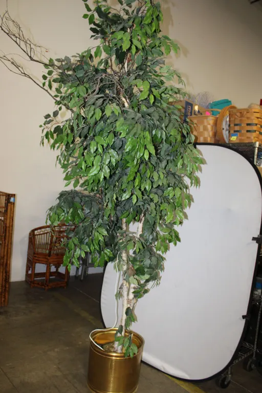 Artificial Ficus Tree