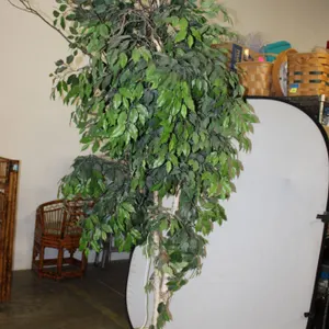 Artificial Ficus Tree
