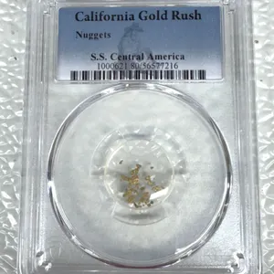 California Gold Rush Nuggets S.S. Central America