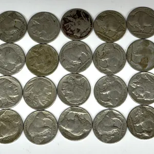 28 U.S. Buffalo Nickels Mixed Dates