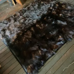 Carriage blanket