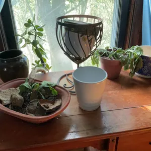 Flower pots