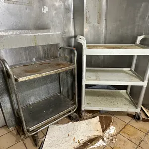 Pair of rolling carts