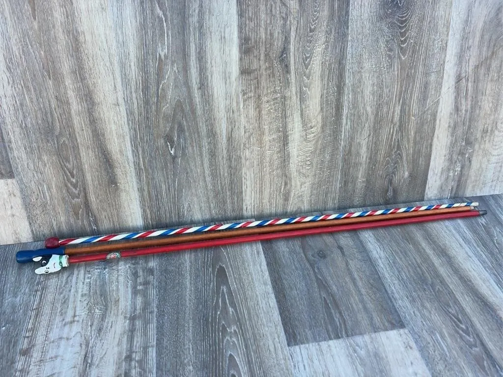 3 Unique Canes