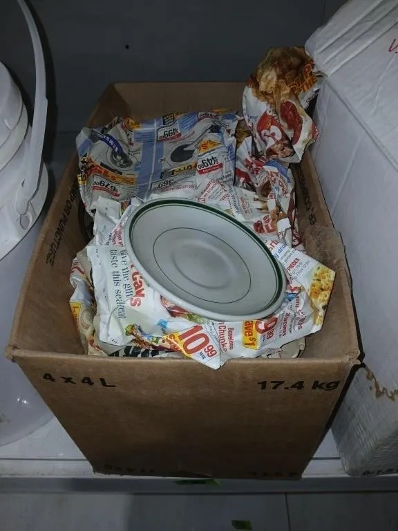 Box w/ White/Green Saucer plates