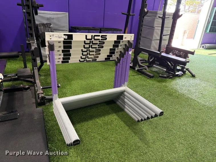 (7) UCS hurdles