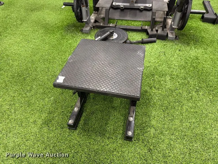 (2) Iron Lift step-up benches