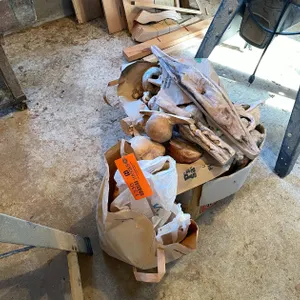 Assortment of Wood Burls