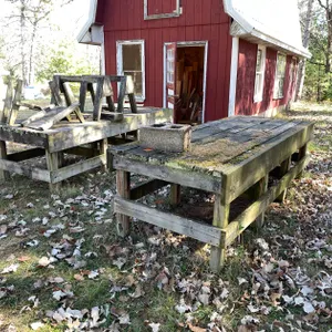 (2) Large Wooden Work Tables and Saw Horses