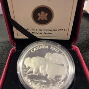 2013 RCM $100 Bison Stampede Pure Silver Coin