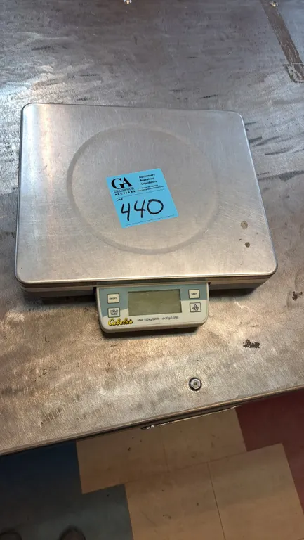 Cabela’s Digital Platform Scale – 220 lb Capacity