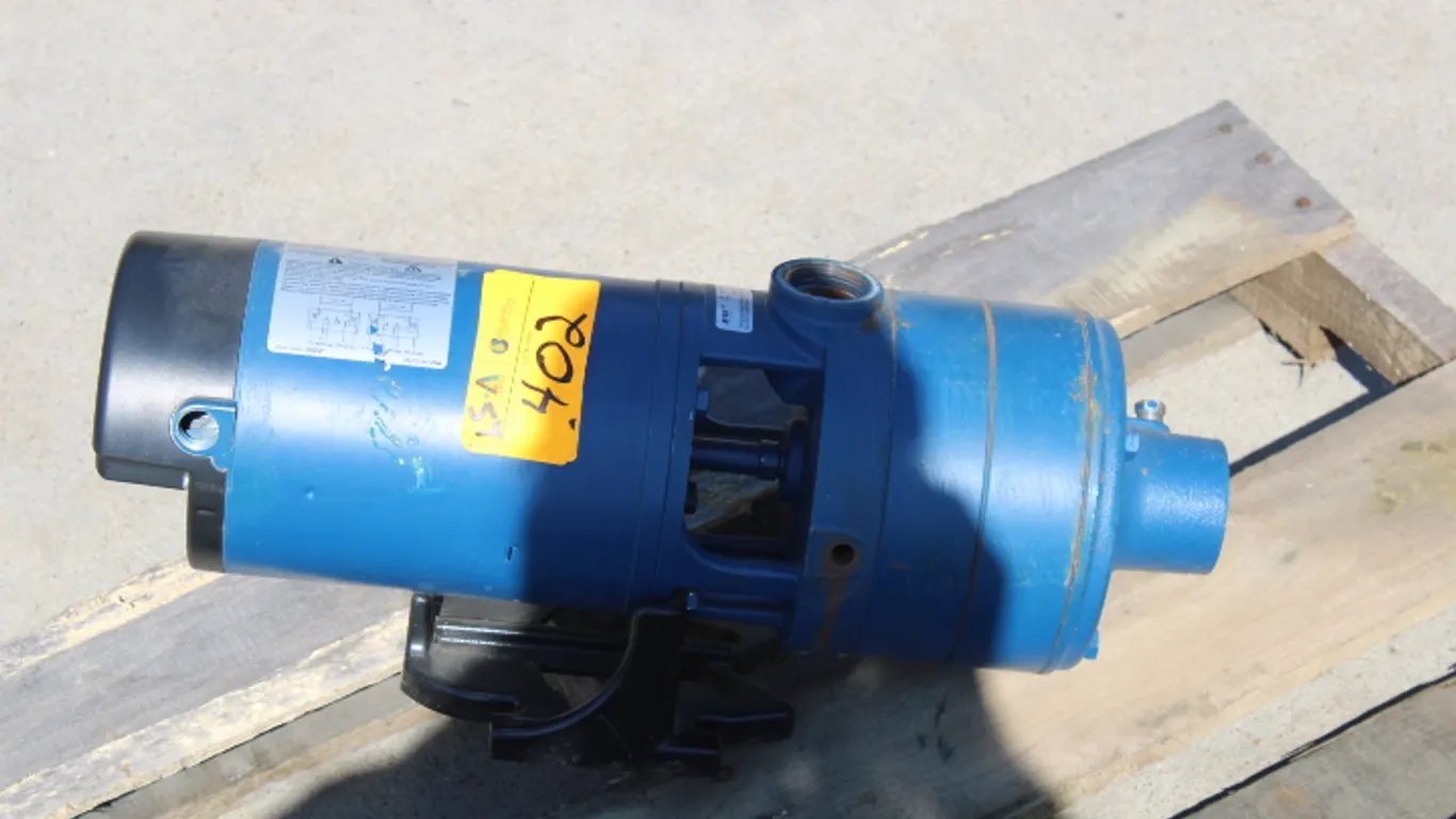 Flint & Walling Water Pump