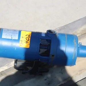 Flint & Walling Water Pump