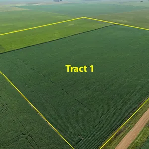 Tract 1: 40.47+/- Acres