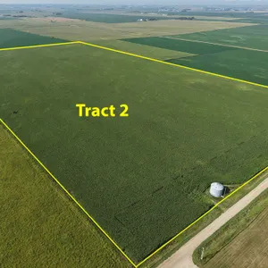 Tract 2: 80.91+/- Acres