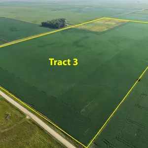 Tract 3: 80.94+/- Acres