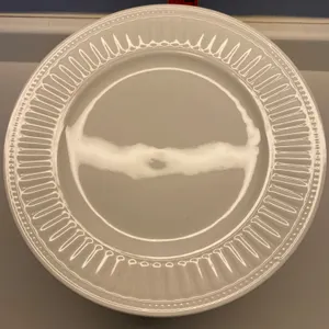 8 Pfaltzgraff Sparta Dinner Plates, White Porcelain