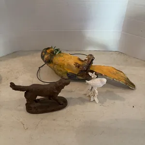 Parrot, Dog, And Bird Decor