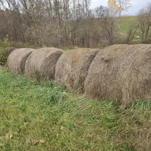 Alfalfa, grass mix 4x5 hay