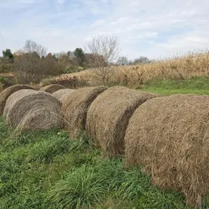 Alfalfa, grass mix 4x5 hay