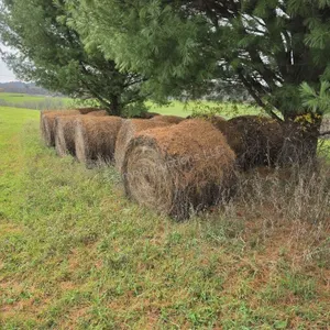 Alfalfa, grass mix 4x5 hay