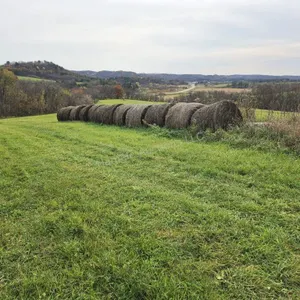 Alfalfa, grass mix 4x5 hay