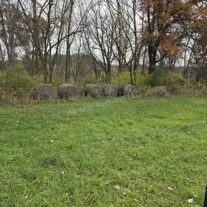 Alfalfa, grass mix 4x5 hay