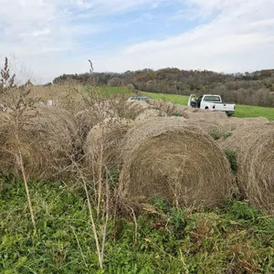 Alfalfa, grass mix 4x5 hay