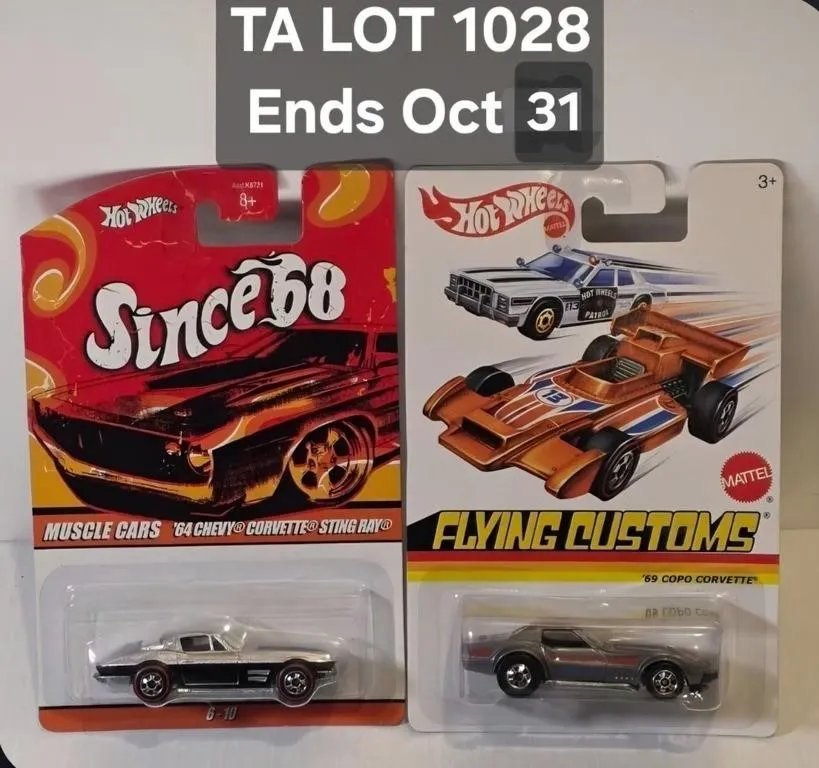 Hot Wheels 64 Corvette Sting Ray & 69 COPO