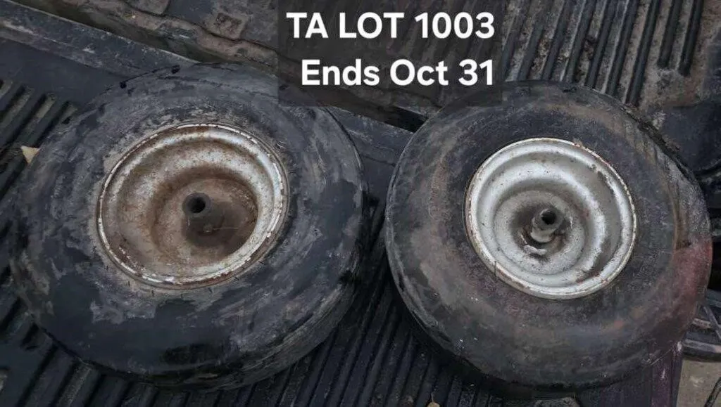Pair of Small Tires on Rims