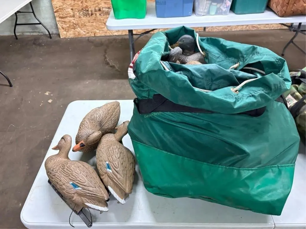 Large lot of Duck Decoys