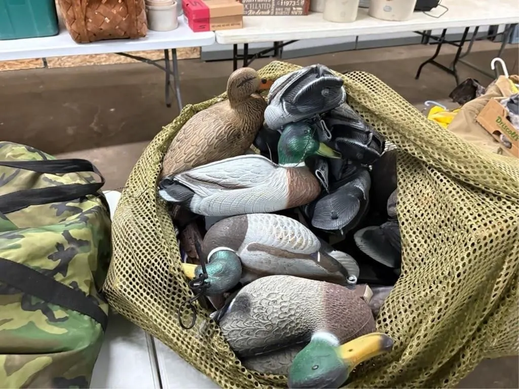 Large lot of Duck Decoys