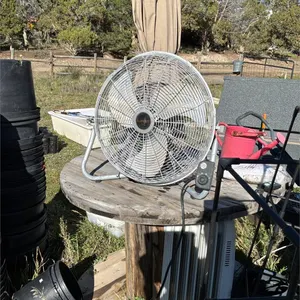 Fan