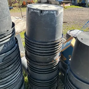 10 Gallon Pots