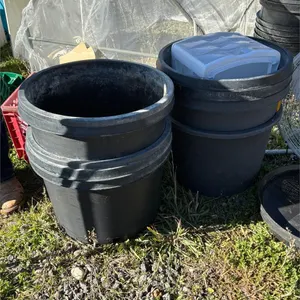 8 10 Gallon pots