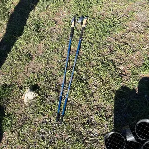 Trekking poles