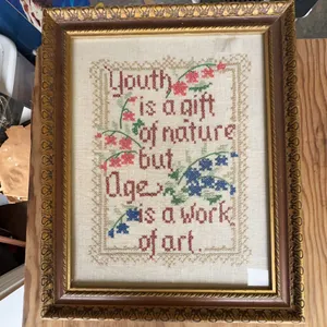 Framed Vintage Needlepoint Sampler 'Youth Is a Gift of Nature, Age Is a Work of Art'