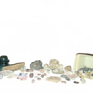 Fossils & Specimen Collection